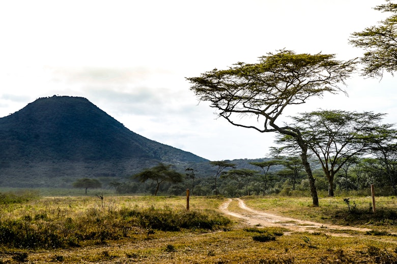 safari rally kenya 2023 ewrc