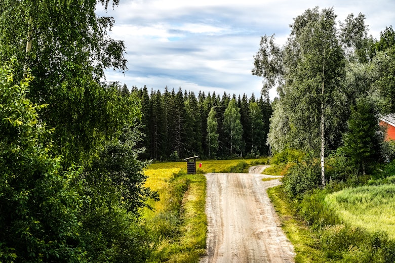 WRC-Finland-recce-035