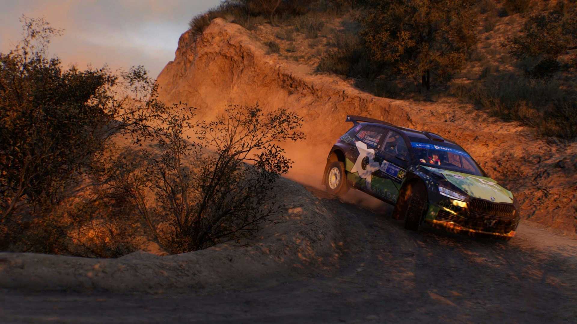 Rally, Off-road, Dirt Tracks, Special Stages