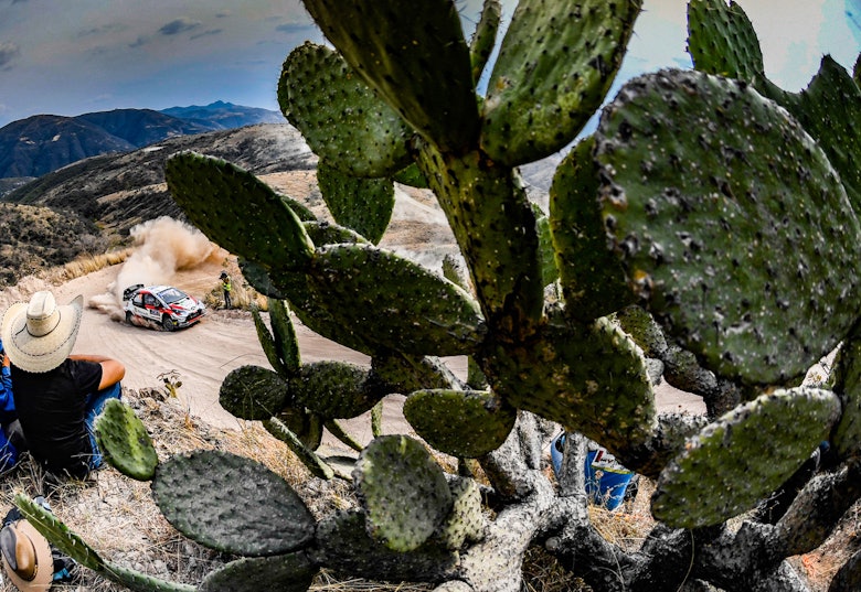 Kalle Rovanperä Toyota WRC Rally México 2020